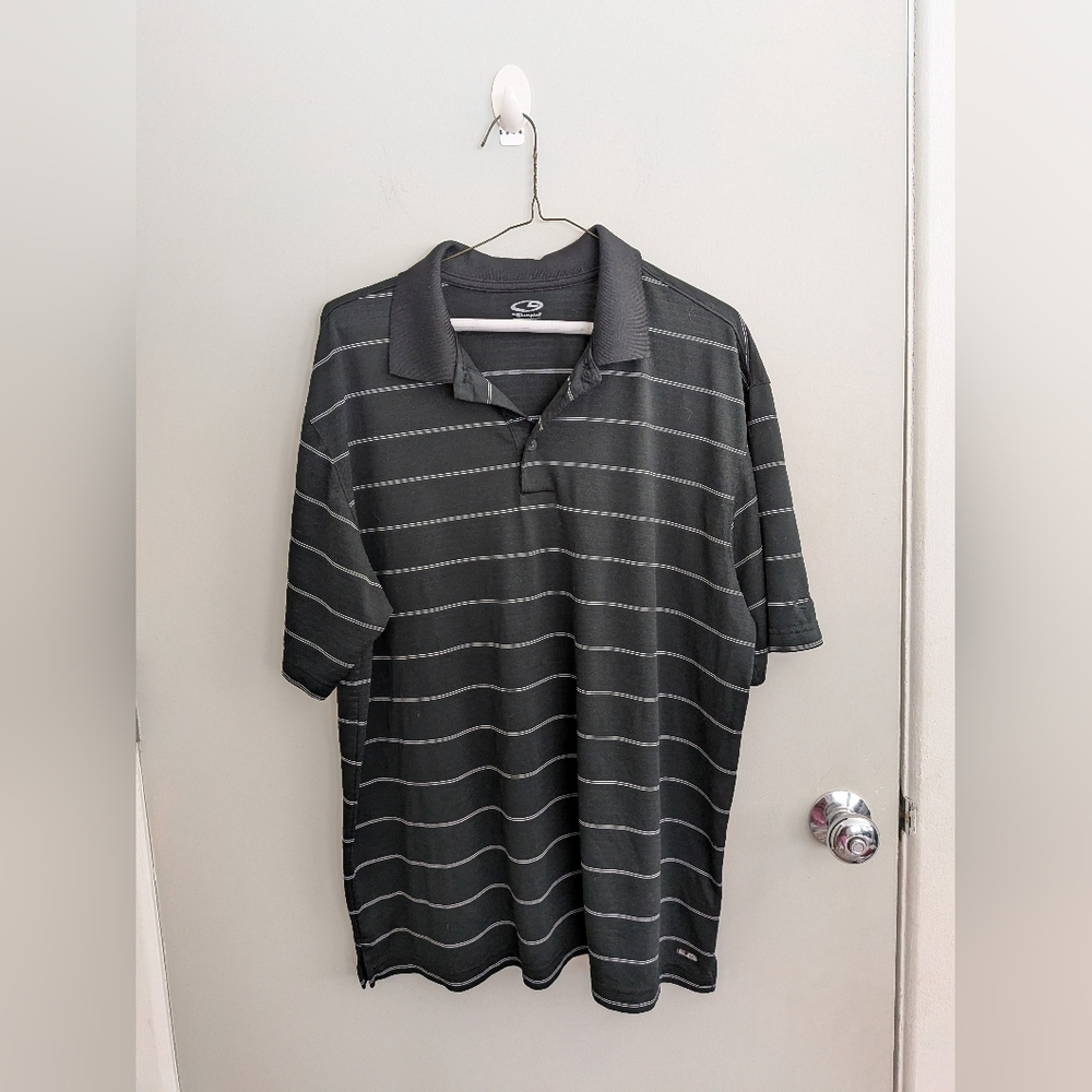 Champion Men's Large Duo Dry Striped Polo Shirt Golf Tennis Pickleball Spring